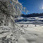 Bergblick Am Rande Der Wildnis Sibratsgfäll
