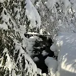 Bergblick Am Rande Der Wildnis Apartamento