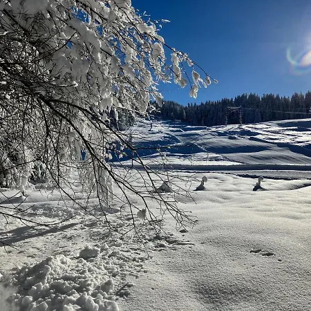 Bergblick Am Rande Der Wildnis Sibratsgfäll