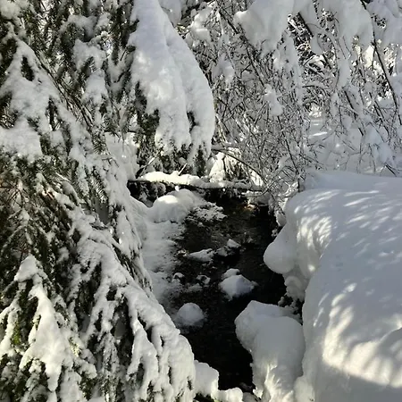 Bergblick Am Rande Der Wildnis Apartment