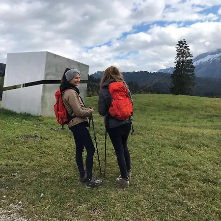 Bergblick Am Rande Der Wildnis